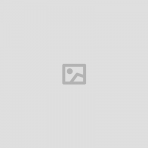 Stanley 24 Inch Tool Box